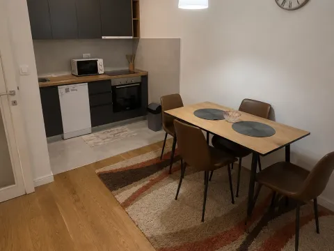 Prodaja, jednosoban stan, 49m², Central Point, Podgorica - image 3