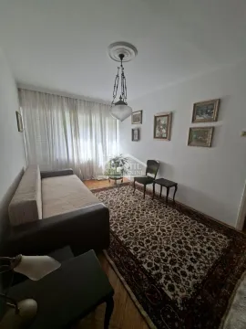 Living room with a sofa, rug, and paintings on the wall. - image 5