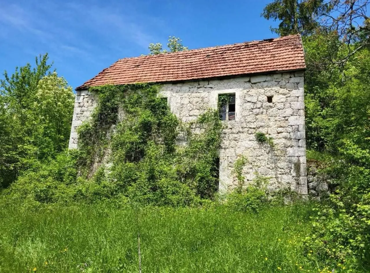 Prodaja, plac, 160000m², Centar, Nikšić