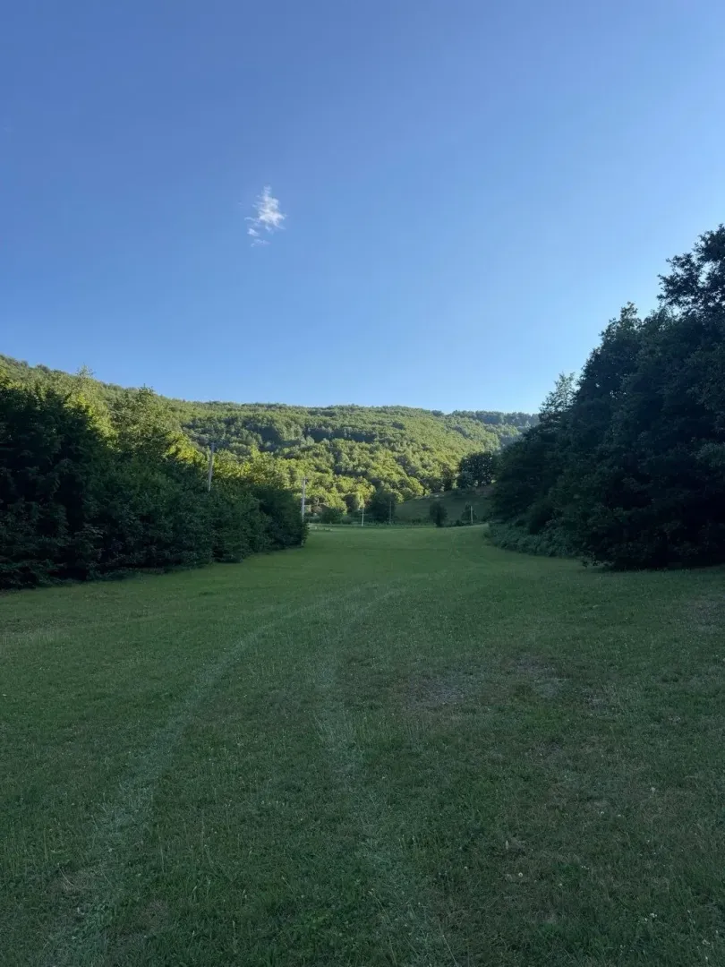 Zelena livada sa šumom i brdima u pozadini.