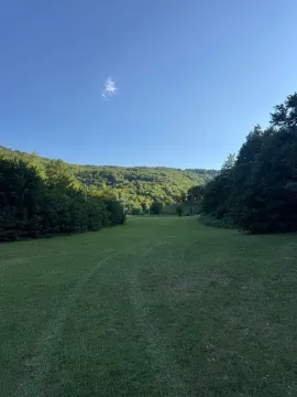 Zelena livada sa šumom i brdima u pozadini. - image 8