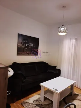 Dnevna soba sa crnim kaučem, bijelim stočićem i slikom konja na zidu. - image 2