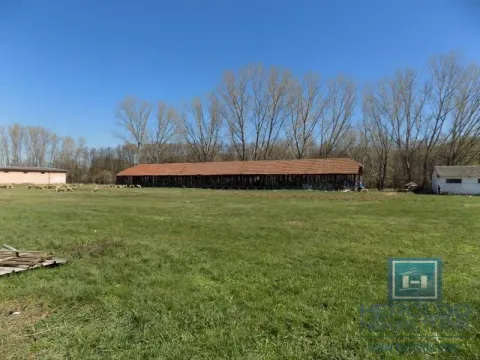 Sale, office space, 16723m², Boljevac, Srbija - image 17