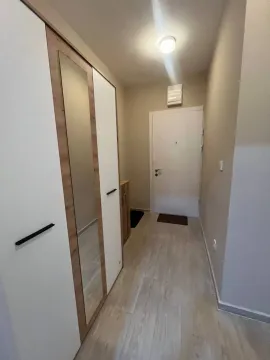 Rent, one bedroom apartment, 45m², Bečići, Budva - image 8