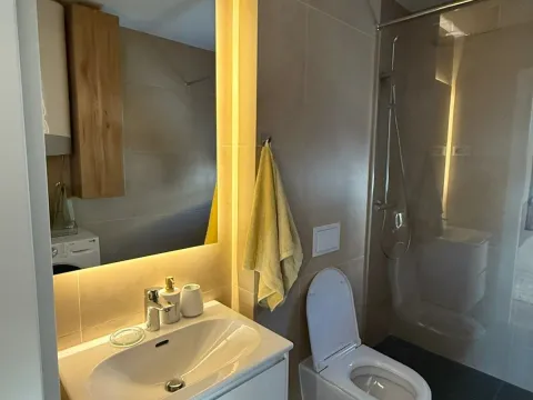 Izdavanje, jednosoban stan, 42m², Tološka šuma, Podgorica - image 9