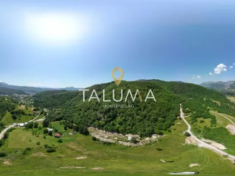 Prodaja, plac, 11000m², Drijenak, Kolašin - image 5