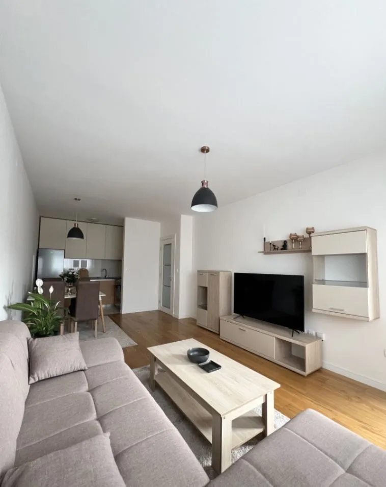 Izdavanje, jednosoban stan, 49m², Central Point, Podgorica