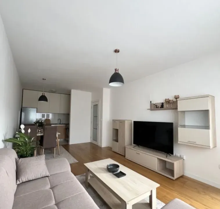 Izdavanje, jednosoban stan, 49m², Central Point, Podgorica