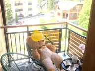 Prodaja, jednosoban stan, 39m², Zlatibor, Srbija - image 9