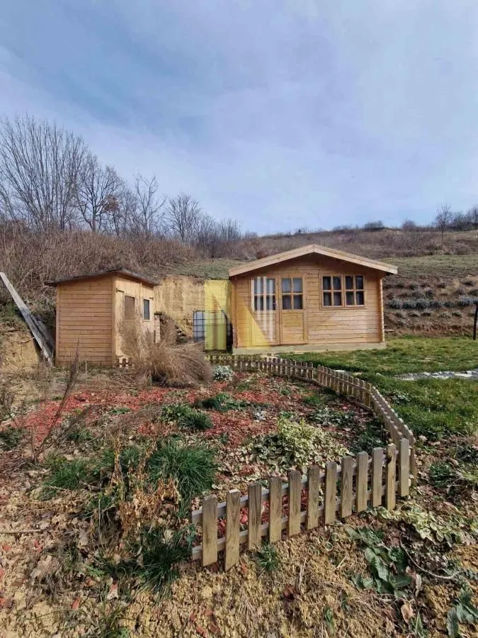 Sale, house, 16m², Sremski Karlovci, Novi Sad