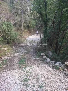 Zemljani put koji vodi kroz šumu do parcele. - image 4
