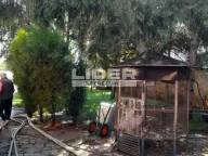 Rent, house, 200m², Zemun Gornji Grad, Zemun Sve Podlokacije - image 14