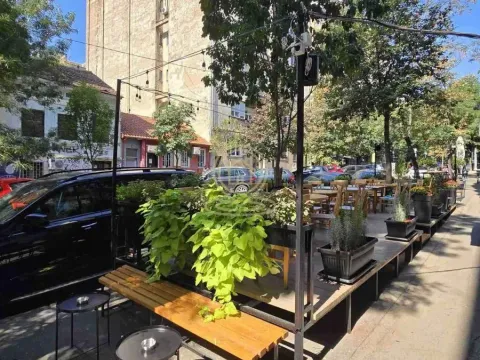 Izdavanje, poslovni prostor, 92m², Cvetni Trg, Vračar Sve Podlokacije - image 15