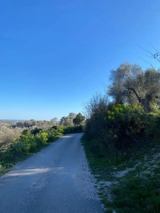 Prodaja, plac, 5500m², Ulcinj, Crna Gora