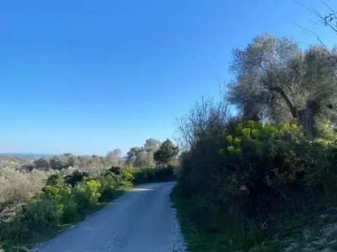 Prodaja, plac, 5500m², Ulcinj, Crna Gora - image 5