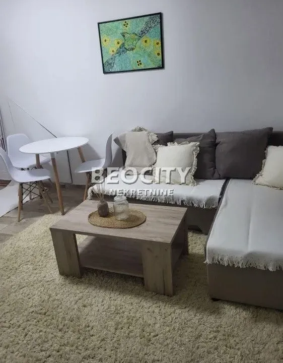 Izdavanje, dvosoban stan, 34m², Centar, Novi Sad