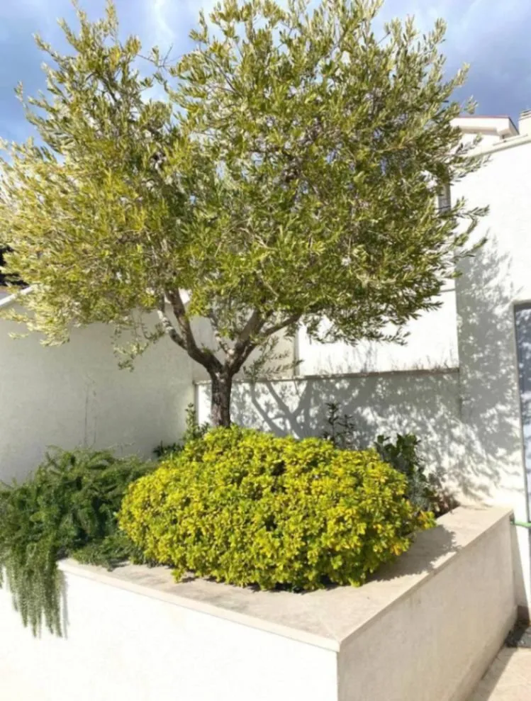Sale, house, 300m², Blizikuće, Budva