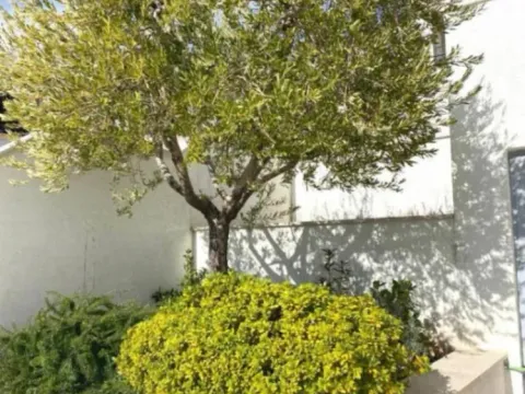 Sale, house, 300m², Blizikuće, Budva - image 8