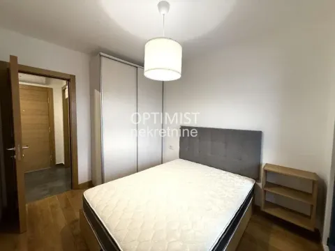 Izdavanje, dvosoban stan, 45m², Botanička Bašta, Palilula Sve Podlokacije - image 7