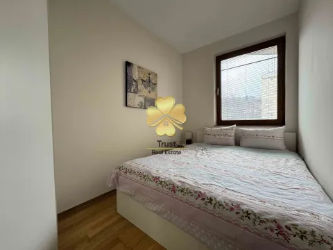 Izdavanje, jednosoban stan, 45m², Preko Morače, Podgorica - image 7