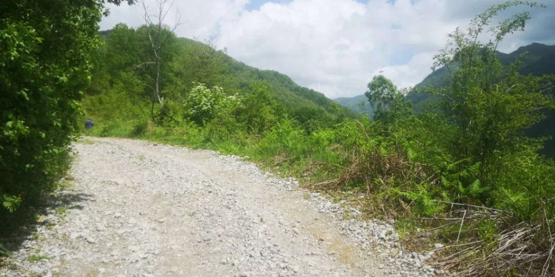 Prodaja, plac, 5300m², Bašanje Brdo, Kolašin