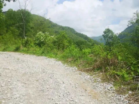 Sale, land lot, 5300m², Bašanje Brdo, Kolašin - image 6