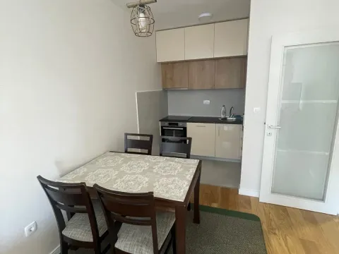 Izdavanje, jednosoban stan, 47m², Central Point, Podgorica - image 3