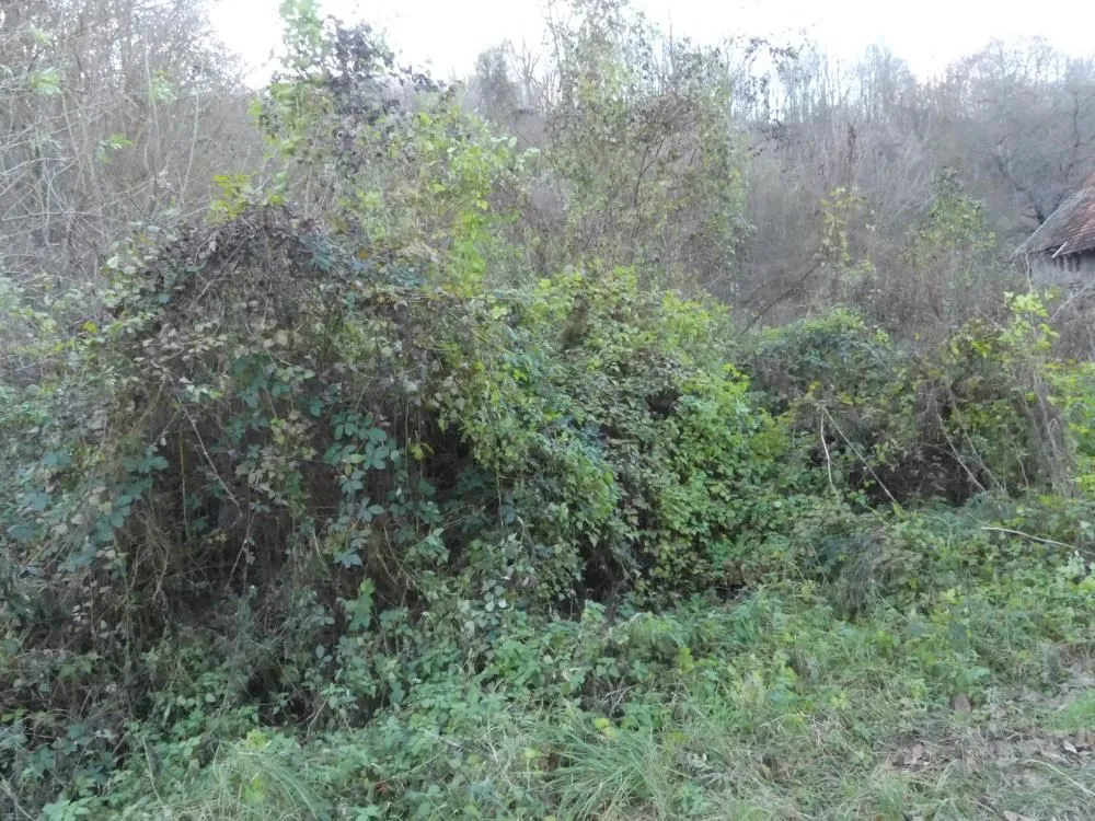 Prodaja, plac, 4599m², Novo Lanište, Jagodina