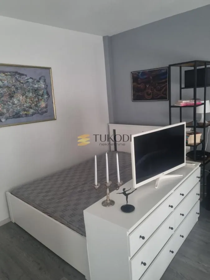 Rent, one bedroom apartment, 33m², Novi Beograd Blok 24, Novi Beograd Sve Podlokacije
