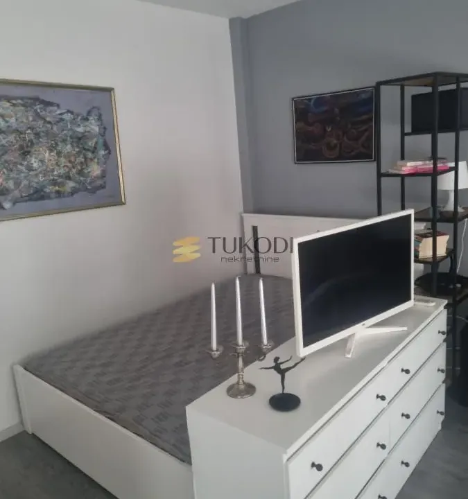 Rent, one bedroom apartment, 33m², Novi Beograd Blok 24, Novi Beograd Sve Podlokacije