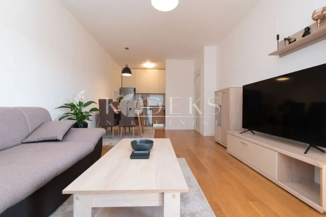 Izdavanje, jednosoban stan, 49m², Central Point, Podgorica