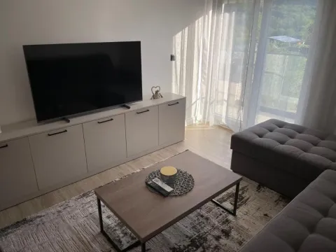 Izdavanje, jednosoban stan, 46m², Radanovići, Kotor - image 3