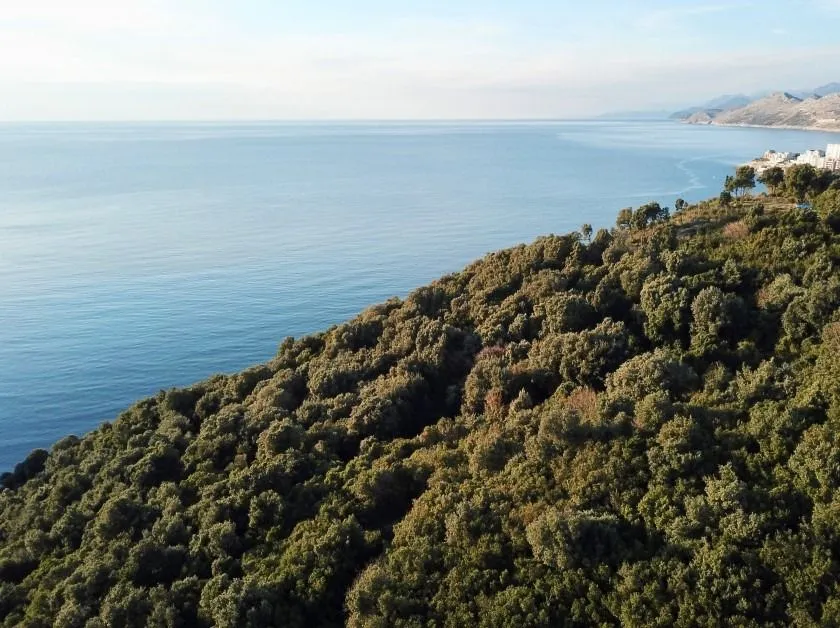 Prodaja, plac, 8000m², Bar, Crna Gora