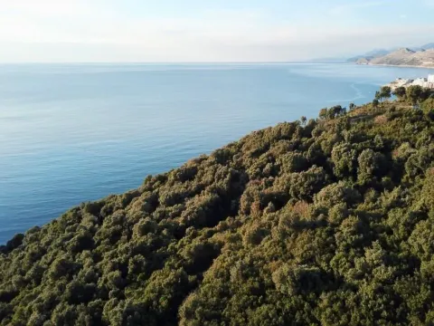 Prodaja, plac, 8000m², Bar, Crna Gora - image 5