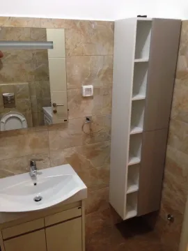 Kupatilo sa umivaonikom, ogledalom i visokim vertikalnim ormarićem. - image 7