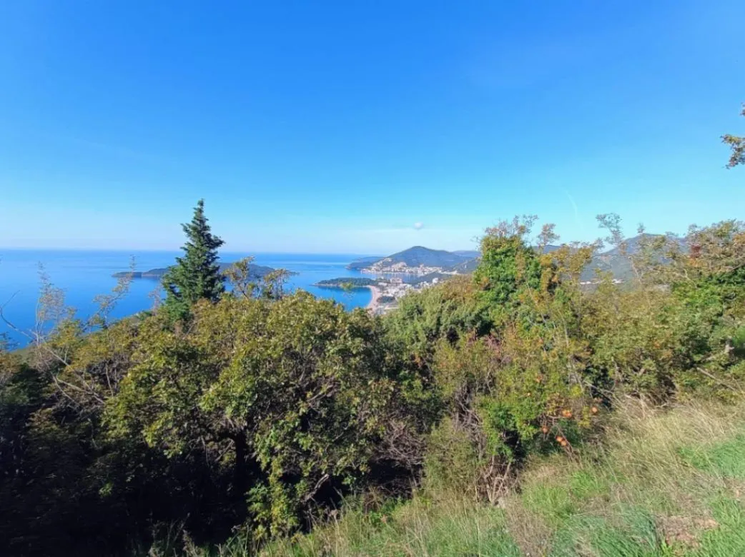 Prodaja, plac, 3800m², Kuljače, Budva