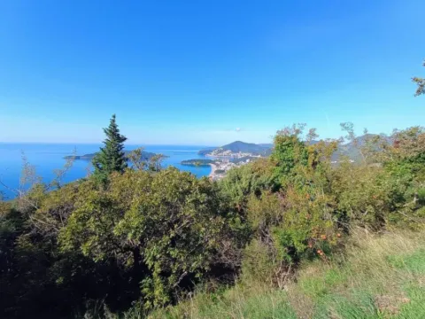 Prodaja, plac, 3800m², Kuljače, Budva - image 2