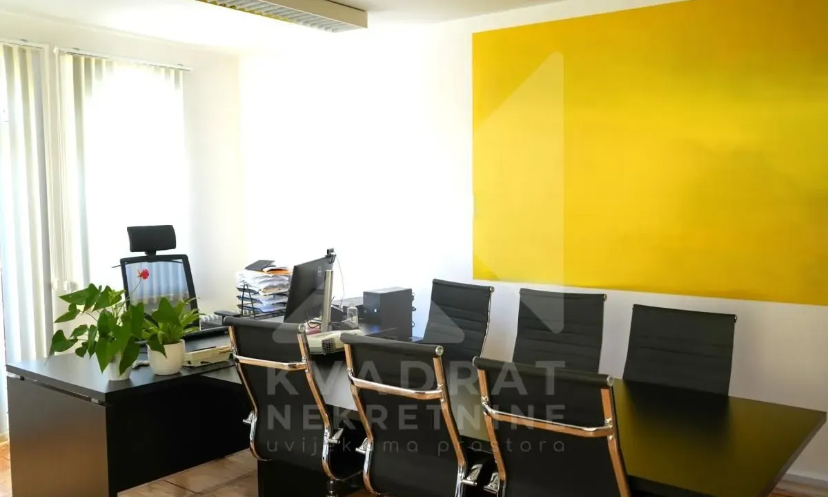 Izdavanje, poslovni prostor, 160m², Centar, Podgorica