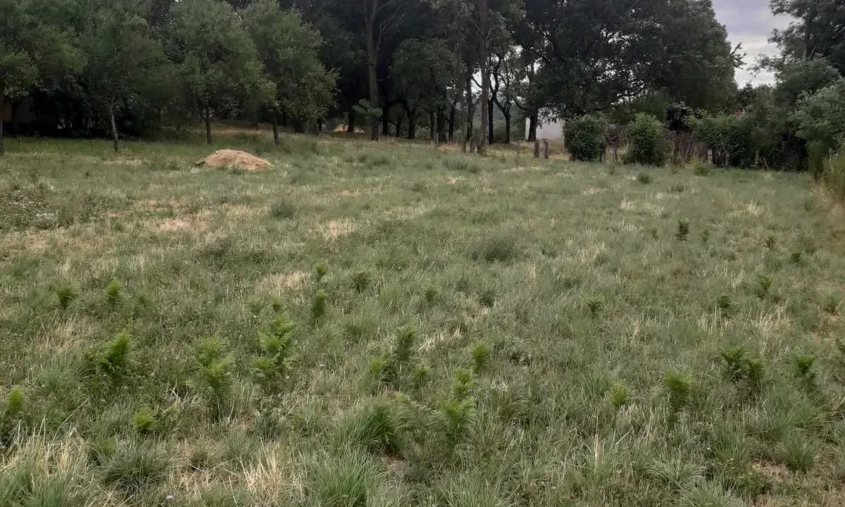 Sale, land lot, 1000m², Nikšić, Crna Gora