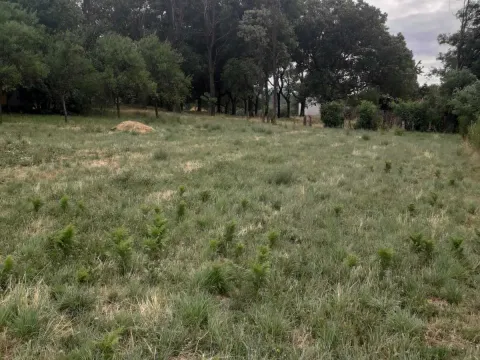 Prodaja, plac, 1000m², Nikšić, Crna Gora