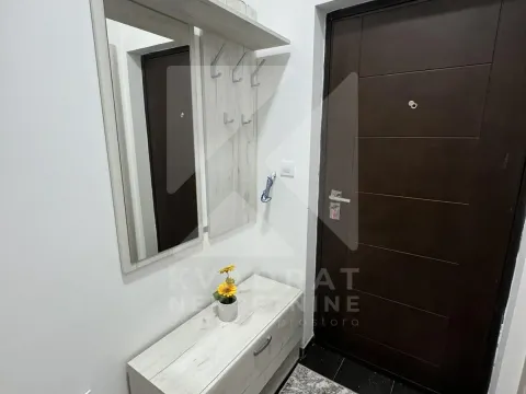 Rent, one bedroom apartment, 36m², Ljubović, Podgorica - image 9