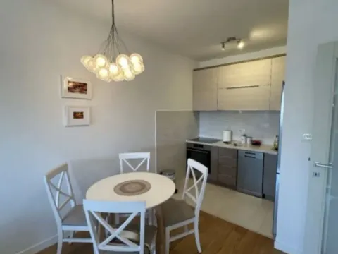 Izdavanje, jednosoban stan, 49m², Central Point, Podgorica - image 4