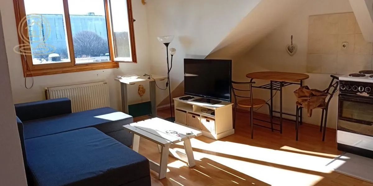 Rent, one bedroom apartment, 38m², Centar, Novi Sad