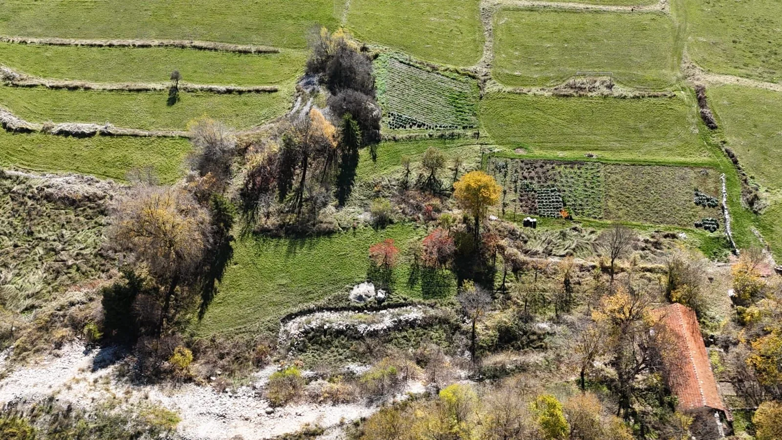 Prodaja, plac, 6000m², Njeguši, Cetinje