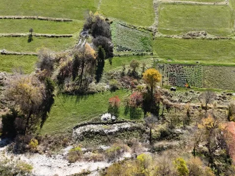 Prodaja, plac, 6000m², Njeguši, Cetinje - image 3