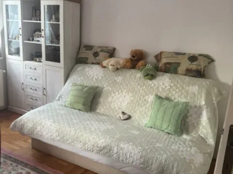 Sale, apartment, 33m², Erdoglija, Kragujevac - image 10