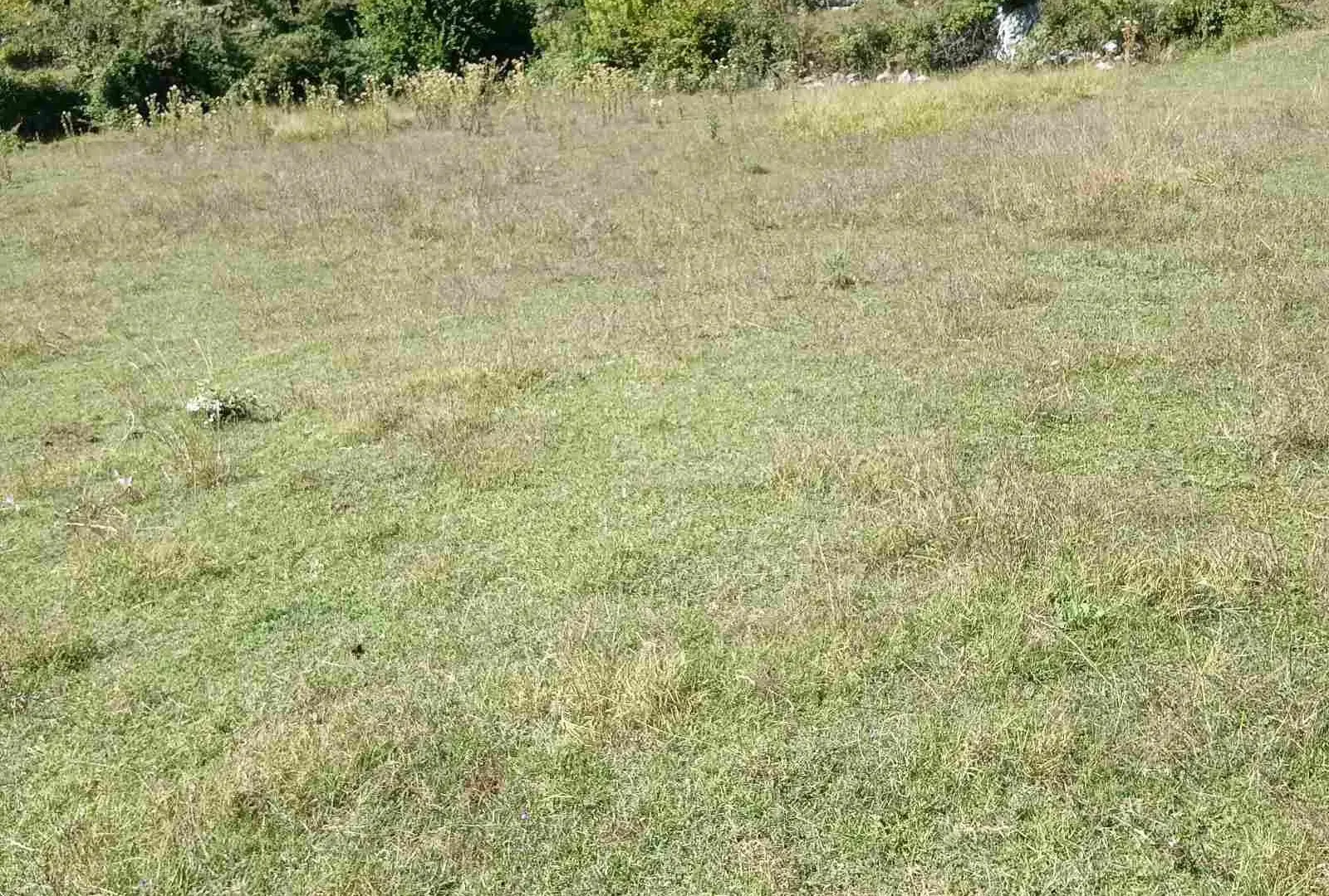 Prodaja, plac, 238441m², Cetinje, Crna Gora