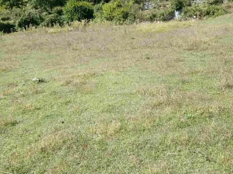 Prodaja, plac, 238441m², Cetinje, Crna Gora - image 3