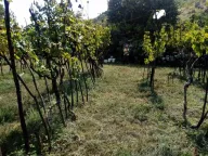 Sale, land lot, 240000m², Štitari, Cetinje - image 6