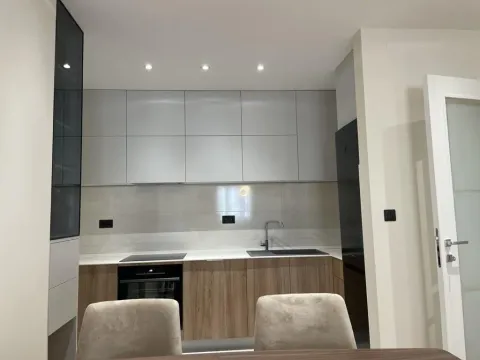 Izdavanje, jednosoban stan, 53m², Central Point, Podgorica - image 14